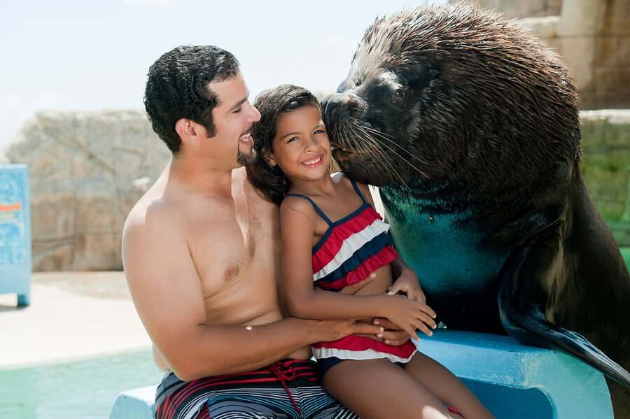 Puerto Plata Ocean World Tickets - Snorkeling with tropical fish