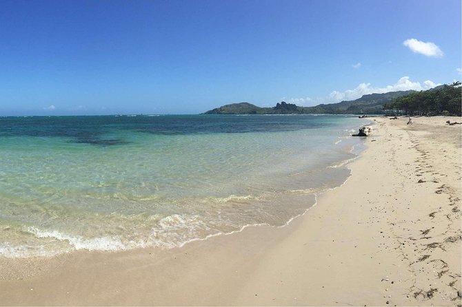 Puerto Plata Shore Excursion: ATV adventure for Amber Cove & Taino Bay Passenger - From Amber Cove or Taino Bay to the open road