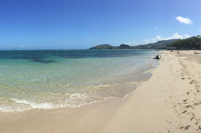 Puerto Plata Shore Excursion: ATV adventure for Amber Cove & Taino Bay Passenger - Kevin and Frank can make the difference