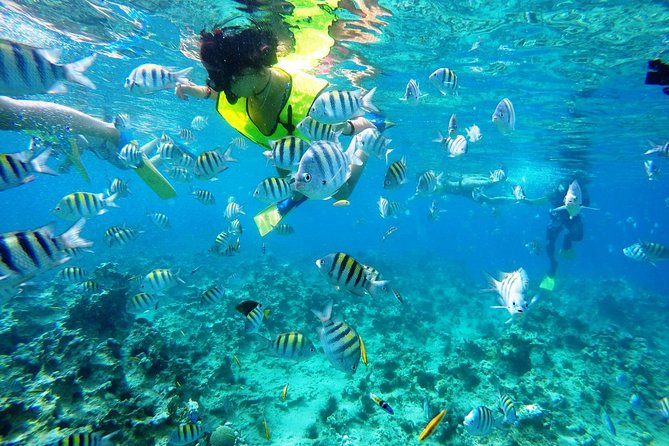 Puerto Plata Shore Excursion, Snorkeling tour & Sosua Beach Day - Two reefs, one beach, and a sensible half-day plan