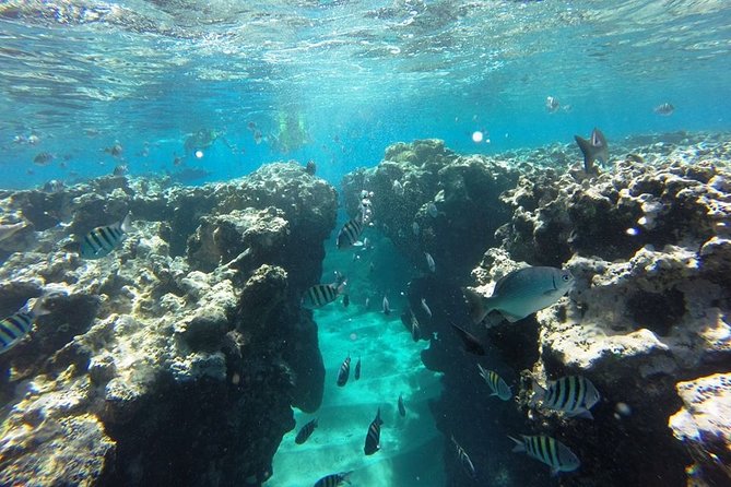 Puerto Plata Shore Excursion, Snorkeling tour & Sosua Beach Day - Sosua Beach gives the afternoon a slower rhythm