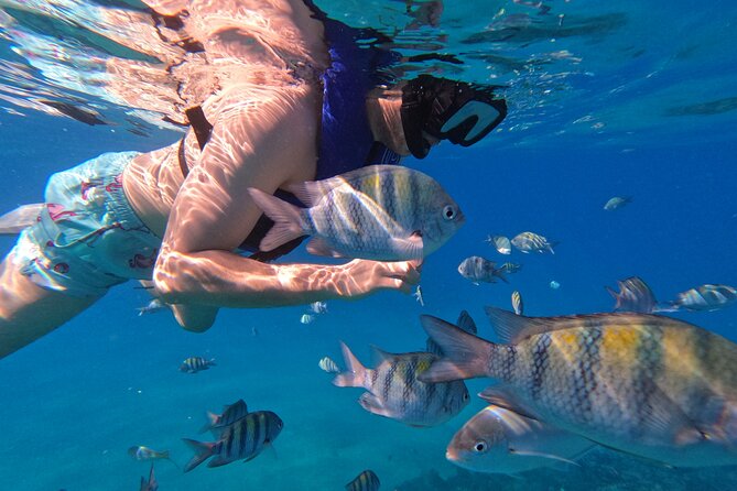 Puerto Plata Shore Excursion, Snorkeling tour & Sosua Beach Day - The boat is the main comfort trade-off