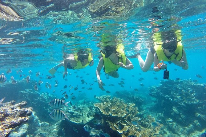 Puerto Plata Shore Excursion, Snorkeling tour & Sosua Beach Day - How the staff shape the experience