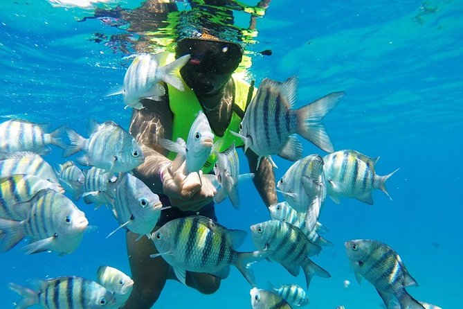 Puerto Plata Shore Excursion, Snorkeling tour & Sosua Beach Day - Getting from Puerto Plata to Sosua Bay