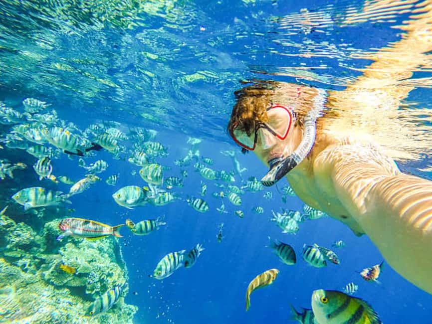 Puerto Plata: Snorkeling Excursion to Sosúa beach - Key points to know before booking