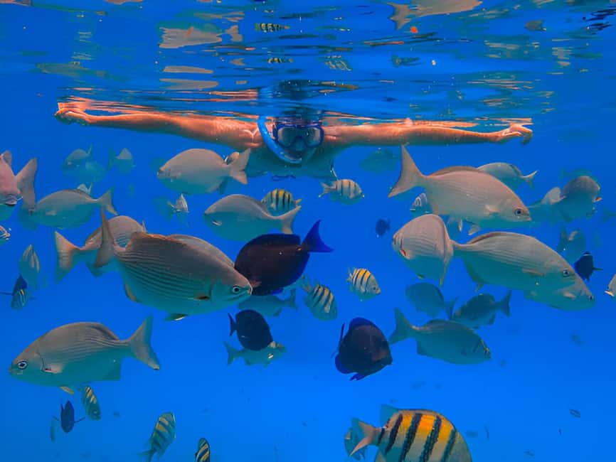 Puerto Plata: Snorkeling Excursion to Sosúa beach - Why Sosúa Bay works for a short snorkeling trip