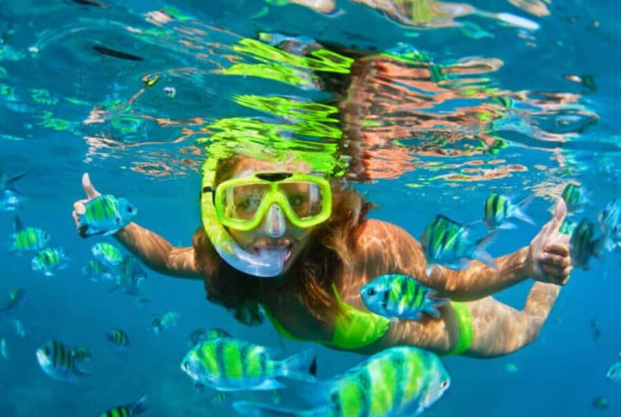 Puerto Plata: Snorkeling Excursion to Sosúa beach - Taking the small boat to the reefs