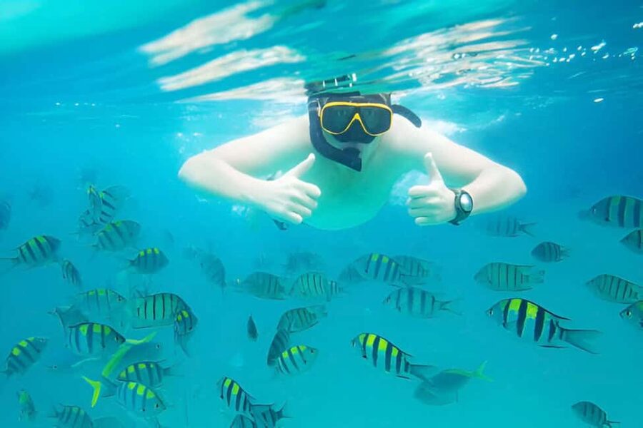 Puerto Plata: Snorkeling Excursion to Sosúa beach - From Puerto Plata pickup to Sosúa Beach