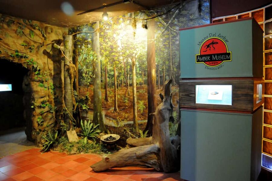 Puerto Plata Tour: History, Culture and Cable Car Ride - Is $73 a fair price?