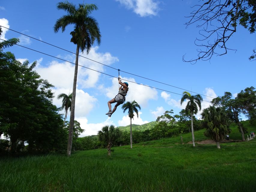 Puerto Plata: Zip Line Adventure - Languages, timing, and booking flexibility