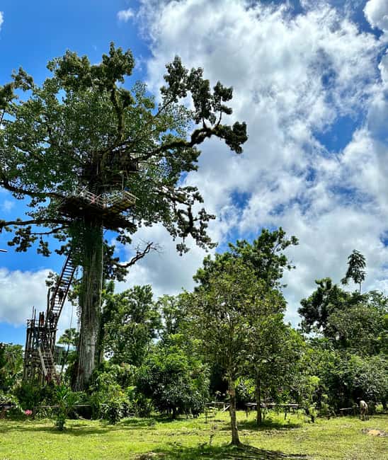 Punta Cana: 3-in-1 Adventure Haitises Park Waterfall Montaña - Los Haitises by boat and through Taino caves