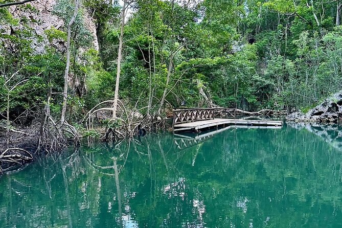Punta Cana 3in1 Adventure: Los Haitises Park, Waterfall & Montaña - What this Punta Cana day trip really covers