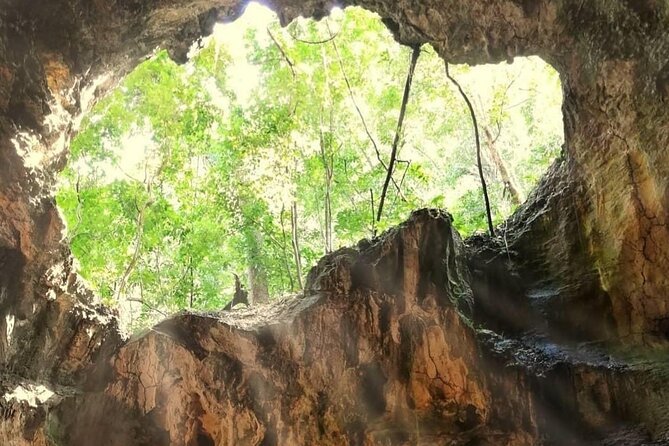 Punta Cana 3in1 Adventure: Los Haitises Park, Waterfall & Montaña - Who will enjoy this tour most