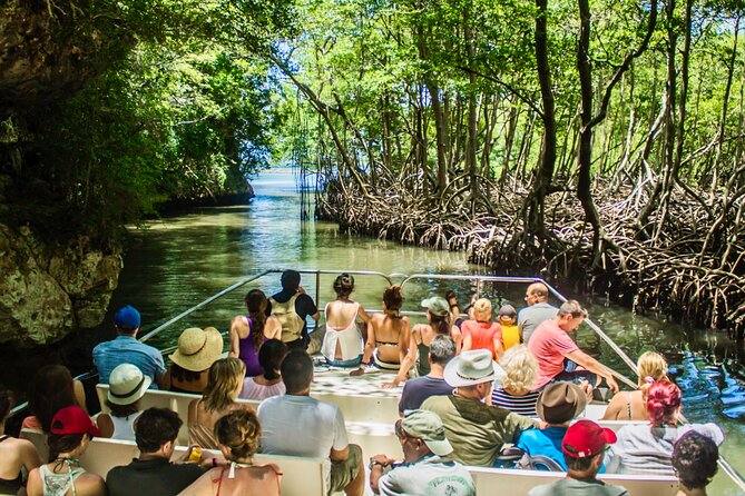 Punta Cana 3in1 Adventure: Los Haitises Park, Waterfall & Montaña - Yanigua Waterfall, clay, cocoa, and lunch