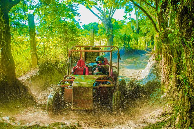 Punta Cana 4 Hours Buggy Tour Cave Macao Beach Free Pick Up - At a glance: what makes this buggy outing different