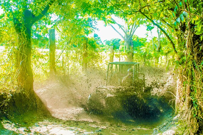 Punta Cana 4 Hours Buggy Tour Cave Macao Beach Free Pick Up - Coffee and cocoa at a typical Dominican home