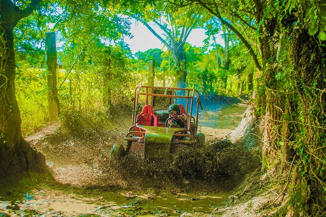 Punta Cana 4 Hours Buggy Tour Cave Macao Beach Free Pick Up - What the $35.70 price really covers