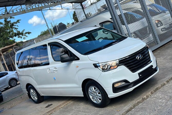 Punta Cana Airport PUJ Private Transfers to Hotels - Who Should Book This Punta Cana Transfer