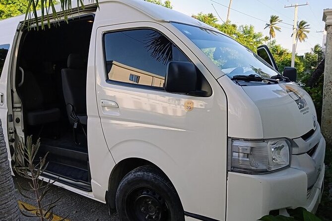 Punta Cana: Airport (PUJ) Shuttle To Hotel Round Trip - Finding your driver at PUJ