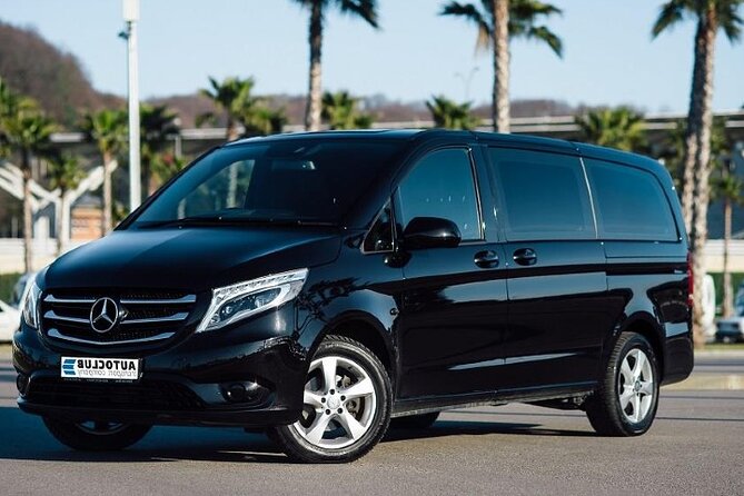 Punta Cana: Airport (PUJ) Shuttle To Hotel Round Trip - Who this transfer suits best