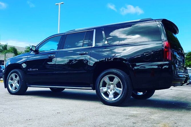 Punta Cana Airport Transfer Bavaro Suburban Trip - What the strongest praise tells you