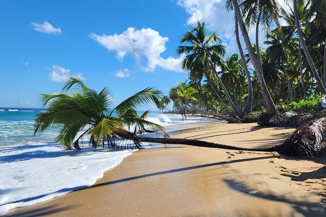 Punta Cana: Amazing ATV Adventure Private Road & Beach W/ PickUp - Riding dirt roads through fields and coconut groves