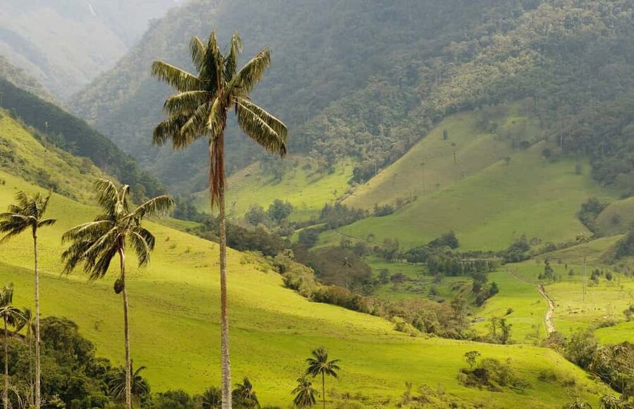 Punta Cana: Anamaya Mountains Walking Tour with Tasting - Key points to know before booking