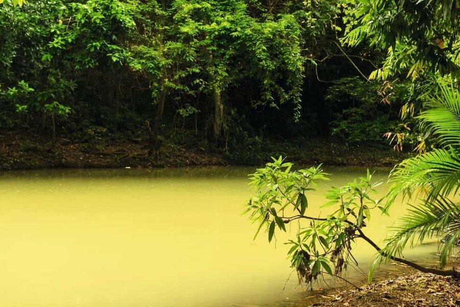 Punta Cana: Anamaya Mountains Walking Tour with Tasting - The tasting is freshest when you ask questions