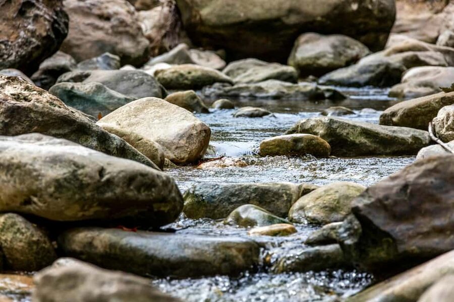 Punta Cana: Anamaya Mountains Walking Tour with Tasting - Who will enjoy this most