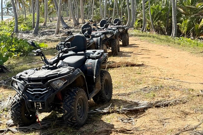Punta Cana ATV: Jungle, Beach & River Small Group Tour - Is $87.99 a fair price?