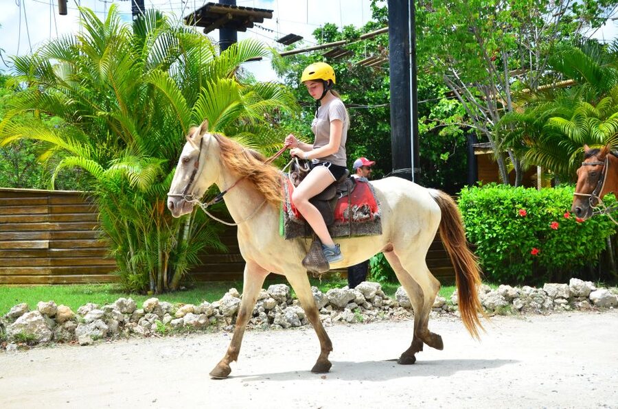 Punta Cana: Bávaro Adventure Park Horse Riding & Waterfalls - Dominican lunch and the value of the half-day