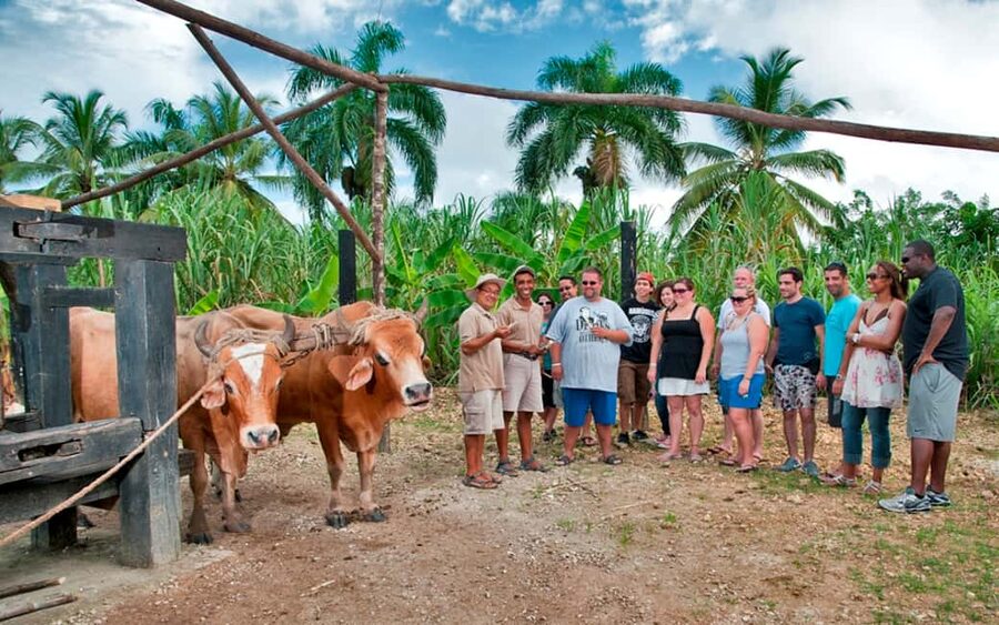 Punta Cana: Bavaro Runners Safari Tour - Leaving Punta Cana for the countryside
