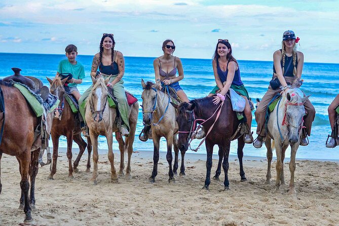 Punta Cana Beach Horseback Ride Paradise Coast Experience - Key points to know before you book