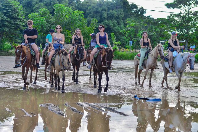 Punta Cana Beach Horseback Ride Paradise Coast Experience - Why the beach section is the real highlight