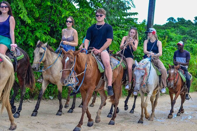Punta Cana Beach Horseback Ride Paradise Coast Experience - The Dominican farm, coffee, and chocolate tasting