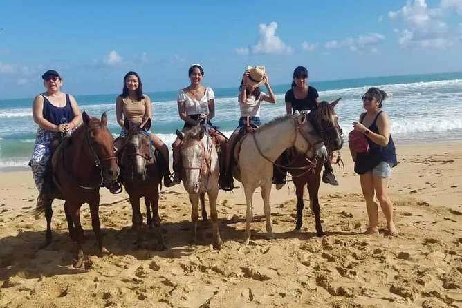 Punta Cana Beach Horseback Riding - Price and value at $58