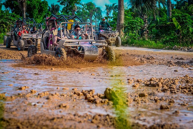 Punta cana Boogie into the Jungle with Coffee and Chocolate Taste - From Punta Cana resorts to rural tracks