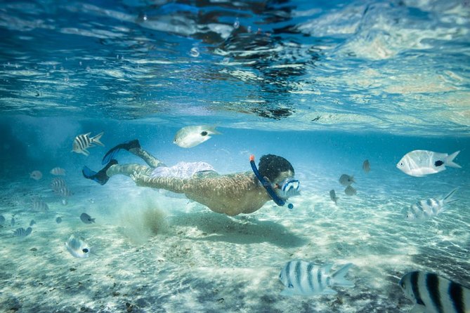 Punta Cana Booze Cruise with Snorkeling, Natural Pool & Open Bar - Key points to know before booking