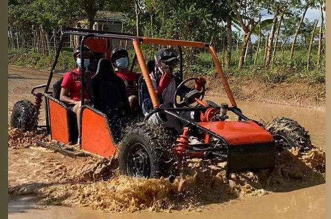 Punta Cana Buggy Adventure : Beaches, Caves & Countryside Ride - Cocoa, coffee, and mamajuana at a traditional house