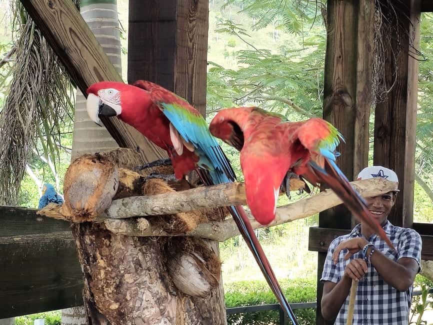 Punta Cana: Buggy and Zipline Adventure at La Hacienda - The bus ride matters more than you might expect