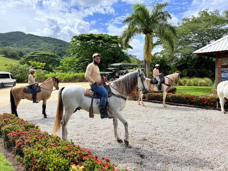 Punta Cana: Buggy and Zipline Adventure at La Hacienda - Zip lines reach 160 meters above the park