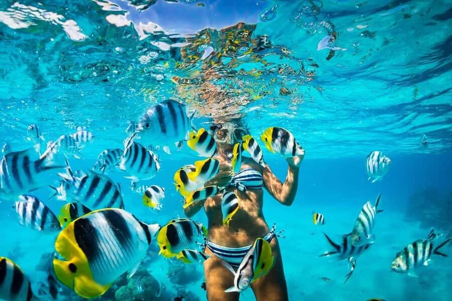 Punta Cana: Catalina Island Snorkeling Trip with Lunch - Guides, languages, and group communication