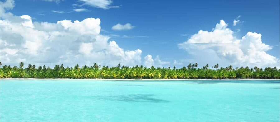 Punta Cana: Catalina Island Snorkeling Trip with Lunch - What the $100 price really covers
