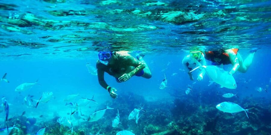 Punta Cana: Catalina Island Snorkeling Trip with Lunch - Should you book this tour?