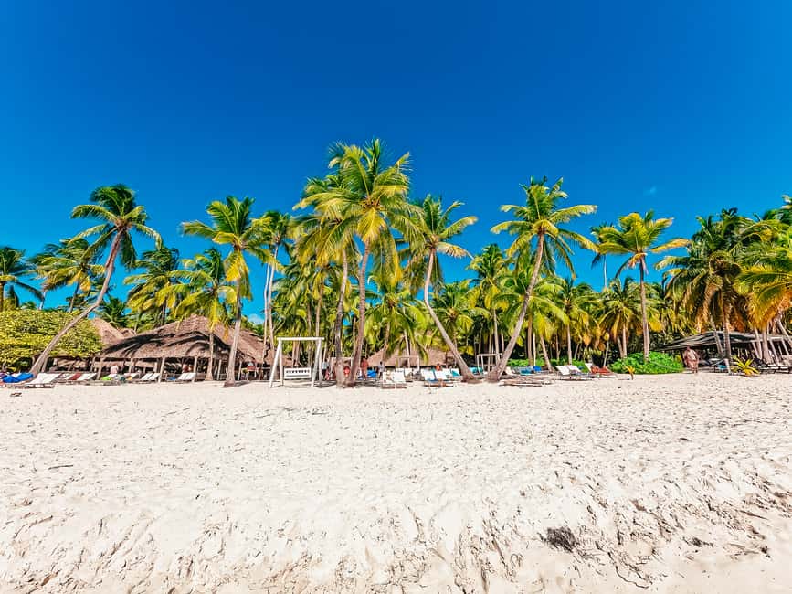 Punta Cana: Catamaran Boat to Saona Island with Buffet Lunch - Guides make a real difference