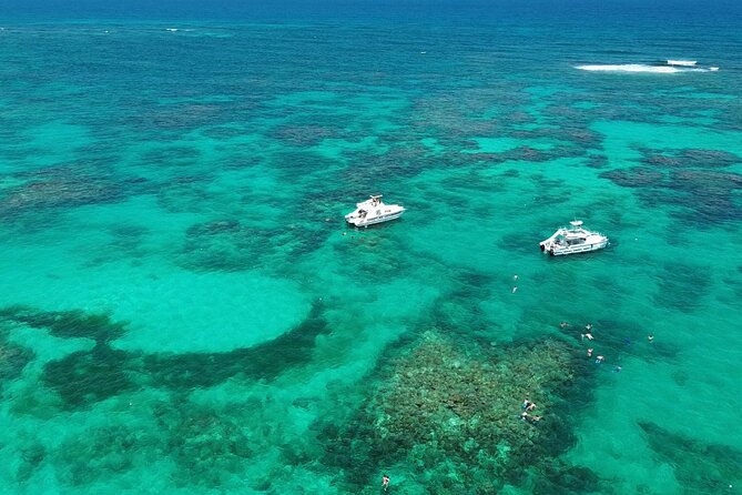 Punta Cana: Catamaran Tour, Reef Snorkeling and Unlimited Drinks! - Quick points to know