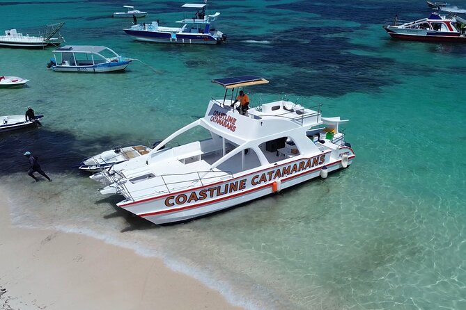 Punta Cana: Catamaran Tour, Reef Snorkeling and Unlimited Drinks! - The private beach stop and its sales pitch