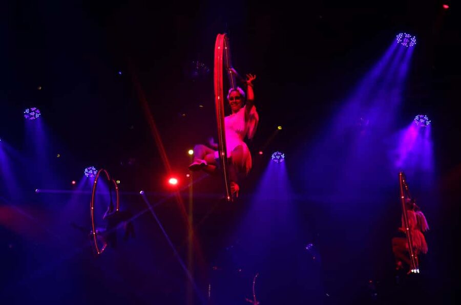 Punta Cana: Coco Bongo Nightclub Experience with Transfer - Choosing between Open Bar and Gold Member
