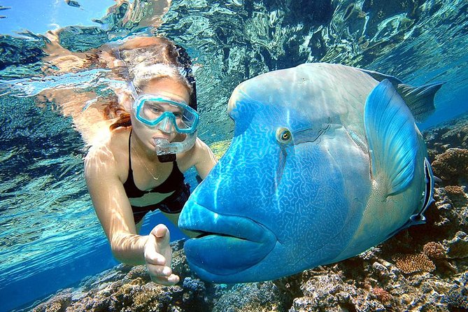 Punta Cana Combo Tour: Snorkeling, Catamaran Cruise & Parasailing - Four adventures packed into one Punta Cana afternoon