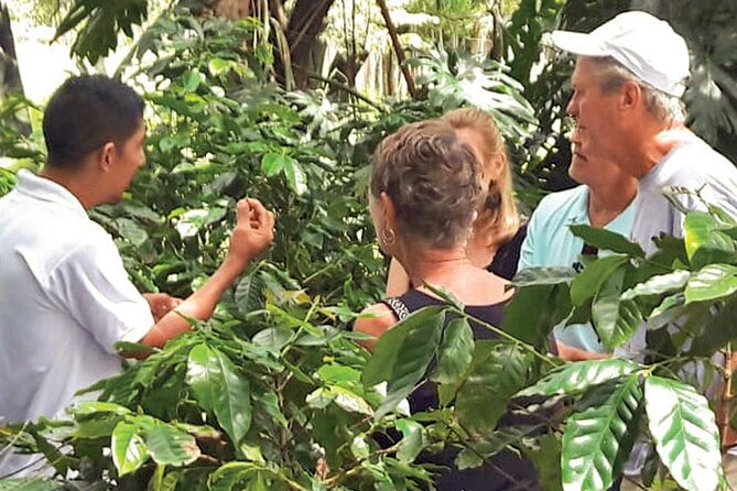 Punta Cana: Cultural half-day tours in the Dominican Republic - Fresh water and a Dominican lunch at Anamuya